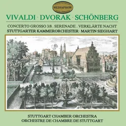 Serenade for Strings in E Major, Op. 22: V. Finale. Allegro vivace