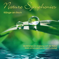 Nature Symphonies: Klänge am Bach