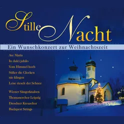 Brandenburg Concerto No. 4 in G Major, BWV 1049: II. Andante