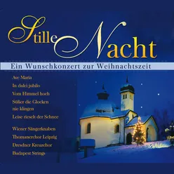 Chorale Preludes, BWV 714-765: 26. Vater unser im Himmelreich, BWV 737