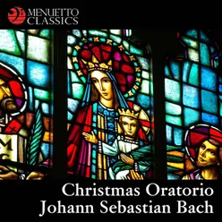 Weihnachtsoratorium, BWV 248, Pt. I: No. 9. "Ach, mein herzliebes Jesulein!"