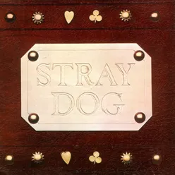 Stray Dog