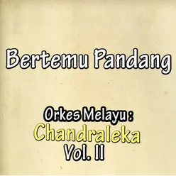 Bertemu Pandang