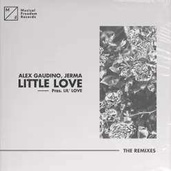 Little Love (pres. Lil' Love) The Remixes