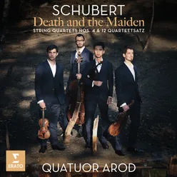 String Quartet No. 4 in C Major, D. 46: II. Andante con moto