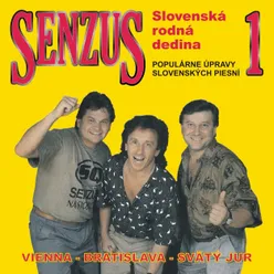 Slovenská rodná dedina