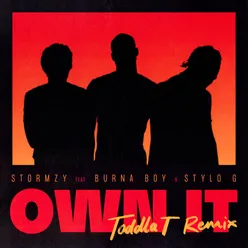 Own It (feat. Burna Boy & Stylo G) [Toddla T Remix]