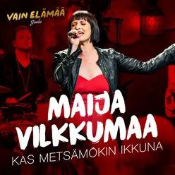 Kas metsämökin ikkuna (Vain elämää joulu)