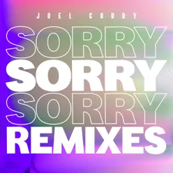 Sorry The Remixes