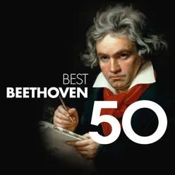 Symphony No. 5 in C Minor, Op. 67: I. Allegro con brio