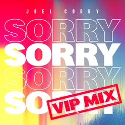 Sorry VIP Mix