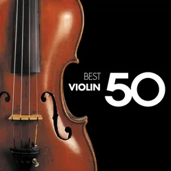 Violin Concerto No. 2 in E Major, BWV 1042: III. Allegro assai