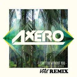 I Can't Do Without You (feat. Adam Christopher) Vinil Remix