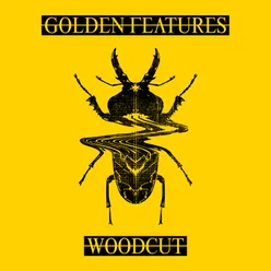 Woodcut (feat. Rromarin) Remixes