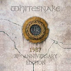 Whitesnake 30th Anniversary Super Deluxe Edition