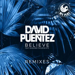 Believe (feat. Shawnee Taylor & MTS) Remixes