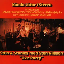 Kända låtar i stereo - Live Party
