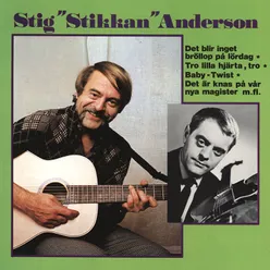 Stig Stikkan Anderson