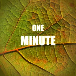 One Minute