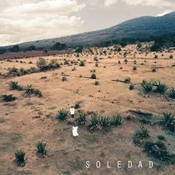 Soledad