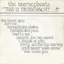 This Is Merseybeat (Version)