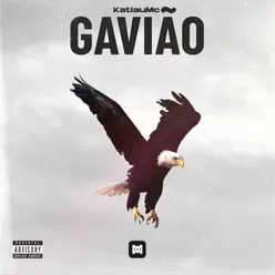 Gavião