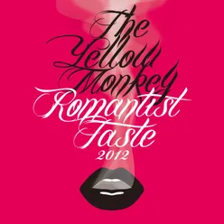 Romantist Taste 2012