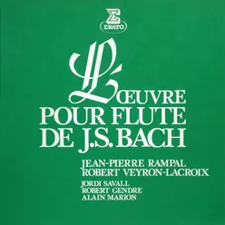 Bach, JS: Flute Sonata in B Minor, BWV 1030: I. Andante