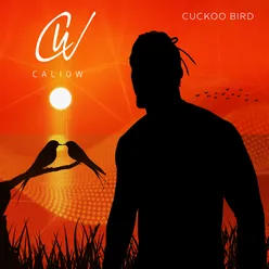 Cuckoo Bird