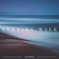 Evening Walk