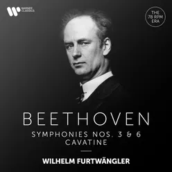 Symphony No. 3 in E-Flat Major, Op. 55 "Eroica": IV. Allegro molto - Poco andante - Presto