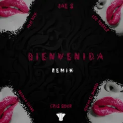 Bienvenida (feat. CHANE, Jencko el Shinobi,Cris Sour, Alu Mix) [Remix]