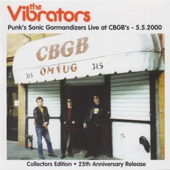 Punk's Sonic Gormandizers Live At CBGB's - 5.5.2000 Live