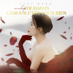 Mashup Toi jamais  L'amour c'est pour rien