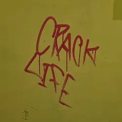 Crack Life