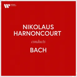 Brandenburg Concerto No. 6 in B-Flat Major, BWV 1051: II. Adagio ma non tanto