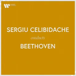 Beethoven: Symphony No. 7 in A Major, Op. 92: IV. Allegro con brio (Live at Philharmonie am Gasteig, München, 1989)