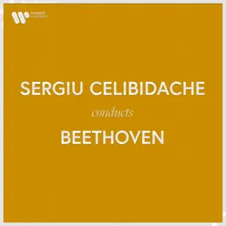 Beethoven: Symphony No. 9 in D Minor, Op. 125 "Choral": III. Adagio molto e cantabile - Andante moderato (Live at Philharmonie am Gasteig, München, 1993)