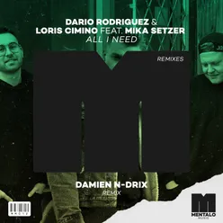 All I Need (feat. Mika Setzer) Damien N-Drix Remix