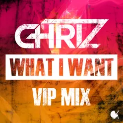 What I Want (VIP Mix)