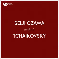 Violin Concerto in D Major, Op. 35: I. Allegro moderato