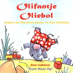 Olifanten-vliegjes Meezingversie