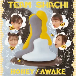 HONEY / AWAKE