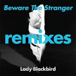 Beware The Stranger  (Ashley Beedle's 'North Street West' Radio Edit)