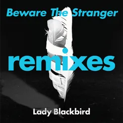 Beware The Stranger (Matthew Herbert's Wanted Instrumental)