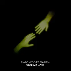 Stop Me Now (feat. MariaM)