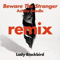 Beware The Stranger Ashley Beedle Remix