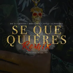 Sé Que Quieres (feat. Brytiago, Jon Z & Almighty) Remix