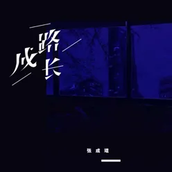 一路成長 (DJ名龍版)