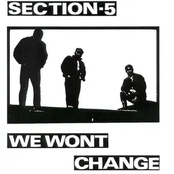 Section 5 (Demo)